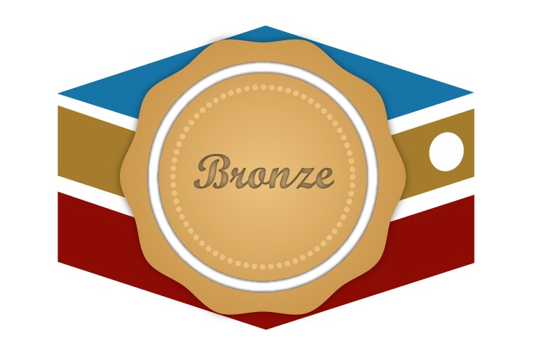 Bronze Web Hosting Package