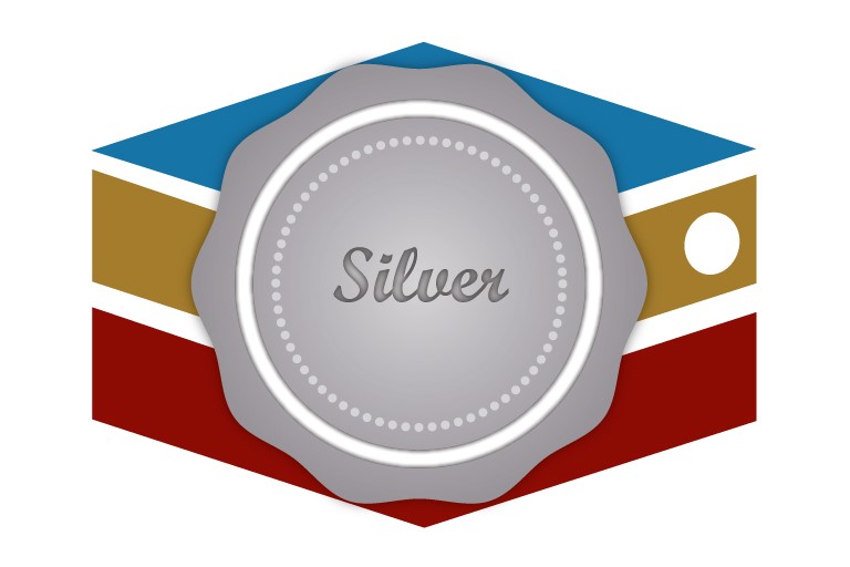 SilverWeb Hosting Package